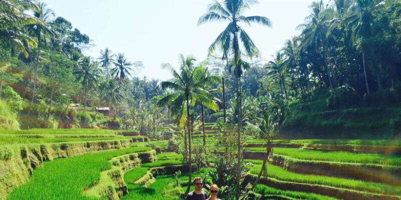 bali-leke-leke-waterfall-monkey-forest-jungle-swing-tour