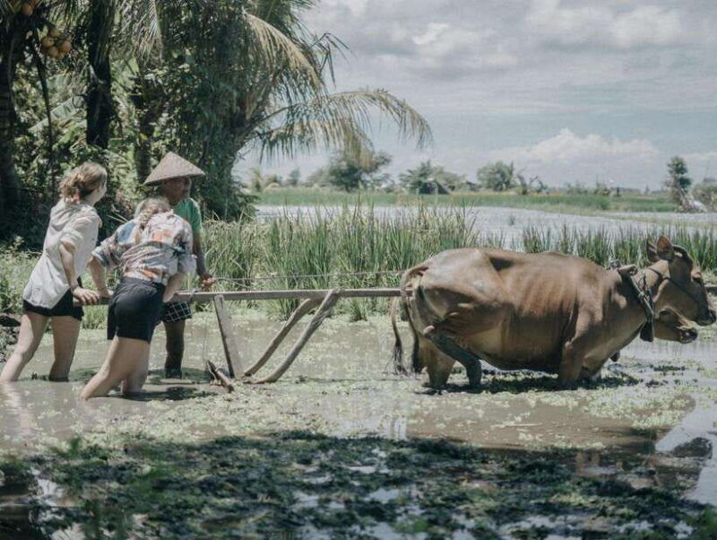 bali-local-village-and-school-tour-with-lunch