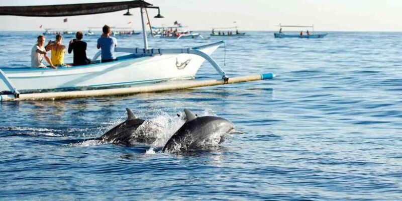 bali-lovina-beach-boat-ride-ulun-danu-beratan-temple-tour