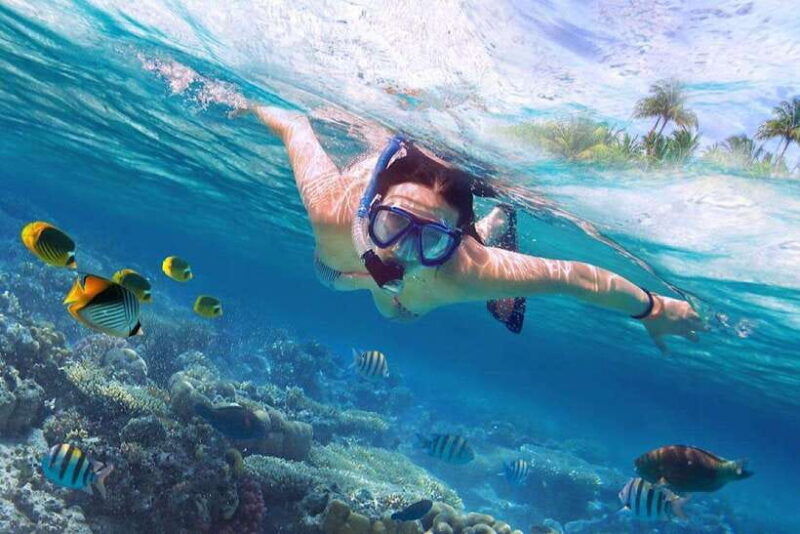 bali-lovina-sunset-tour-with-snorkeling-experience