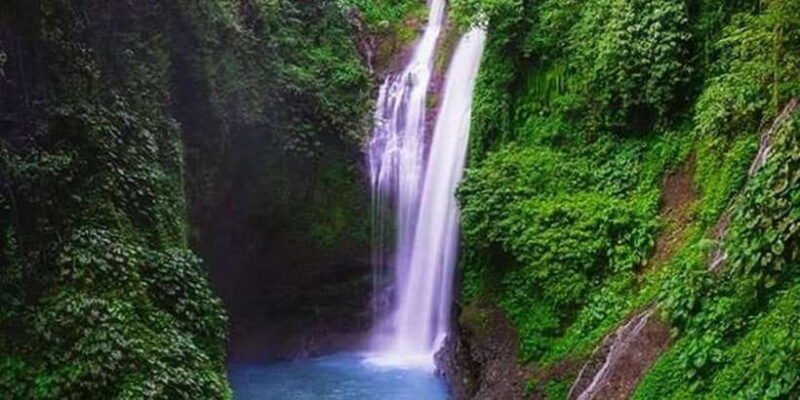 bali-lovina-tour-to-see-dolphin