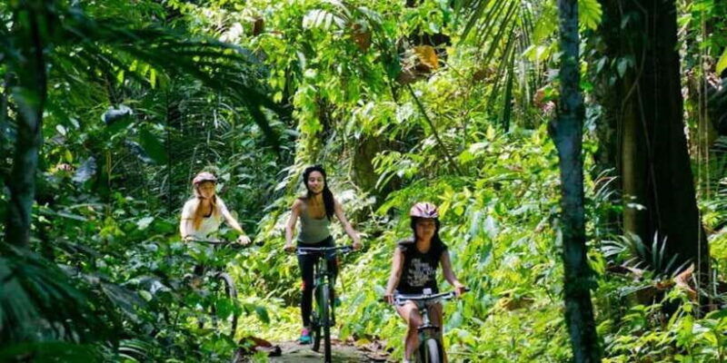 bali-mount-batur-mountain-biking-adventure-with-lunch