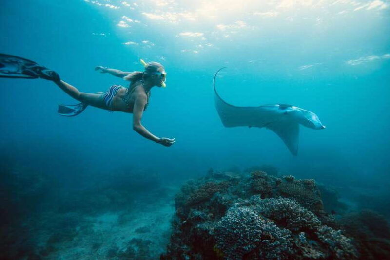bali-nusa-penida-manta-point-snorkel-boat-west-coast-tour