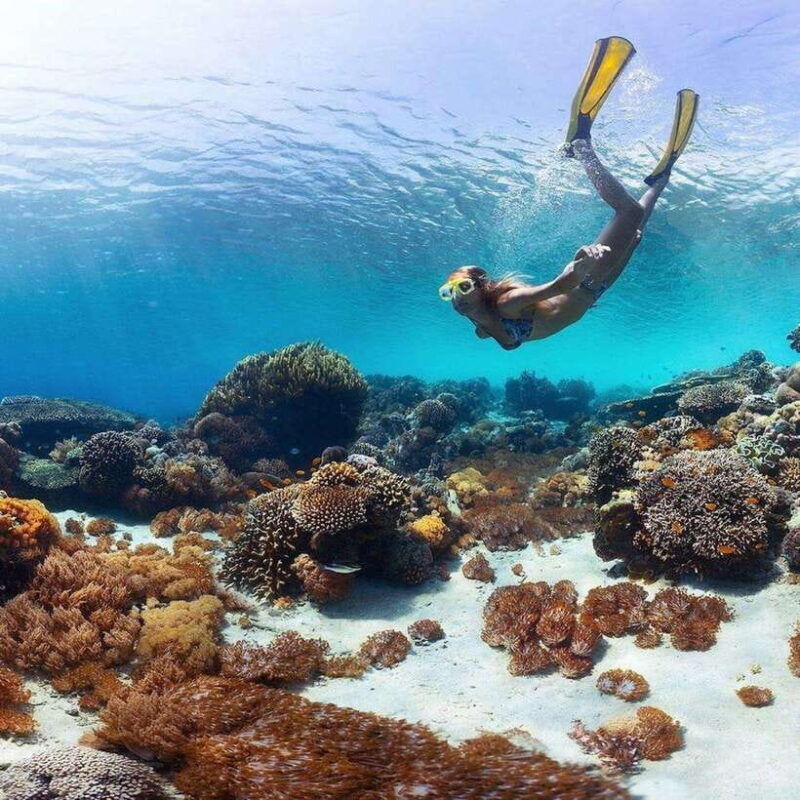 bali-nusa-penida-manta-snorkeling-tour-beach-club-access