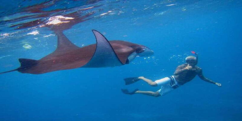 bali-nusa-penida-snorkeling-adventure-and-island-tour
