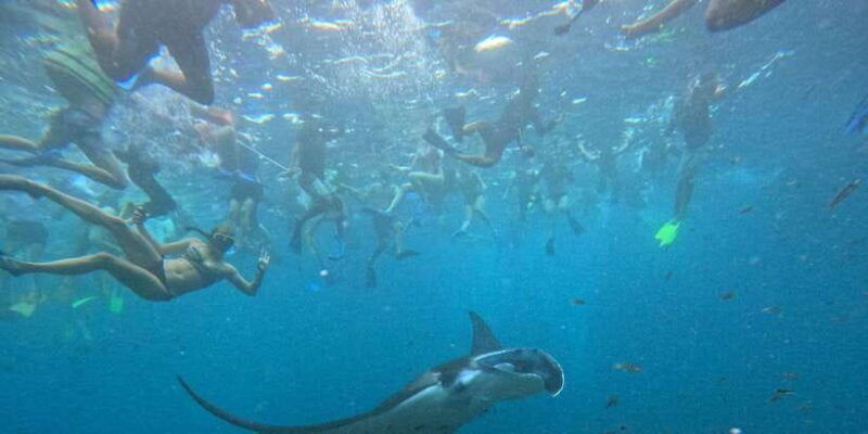 bali-nusa-penida-tour-with-lunch-manta-point-snorkeling
