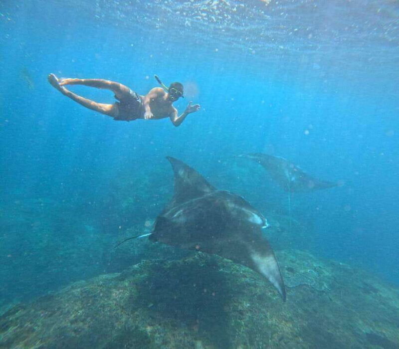 bali-nusa-penidaswimming-manta-ray-west-penida-with-lunch