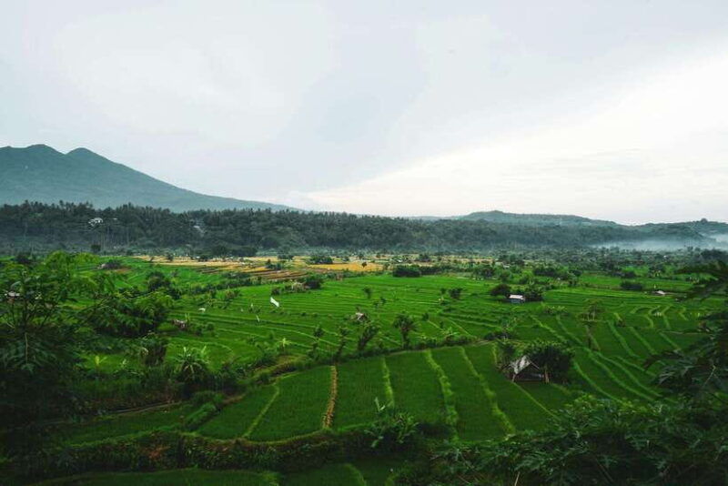 bali-private-sightseeing-trip-north-bali-tour-with-transfer