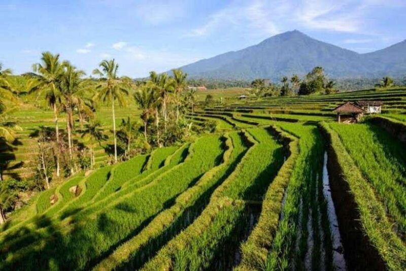 bali-private-unesco-world-heritage-sites-tour