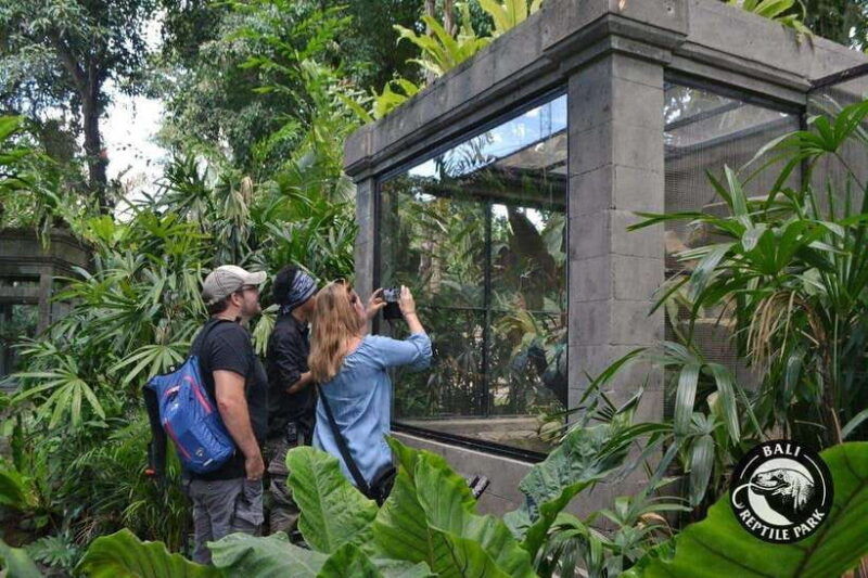 bali-reptile-park-1-day-admission-ticket