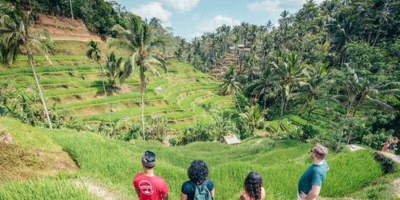 bali-rice-terraces-guided-hiking-experience