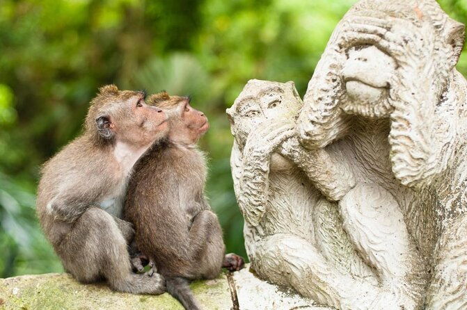 Bali romantic floating breakfast - jungle swing - monkey forest - Ubud art shop. - Key Points  