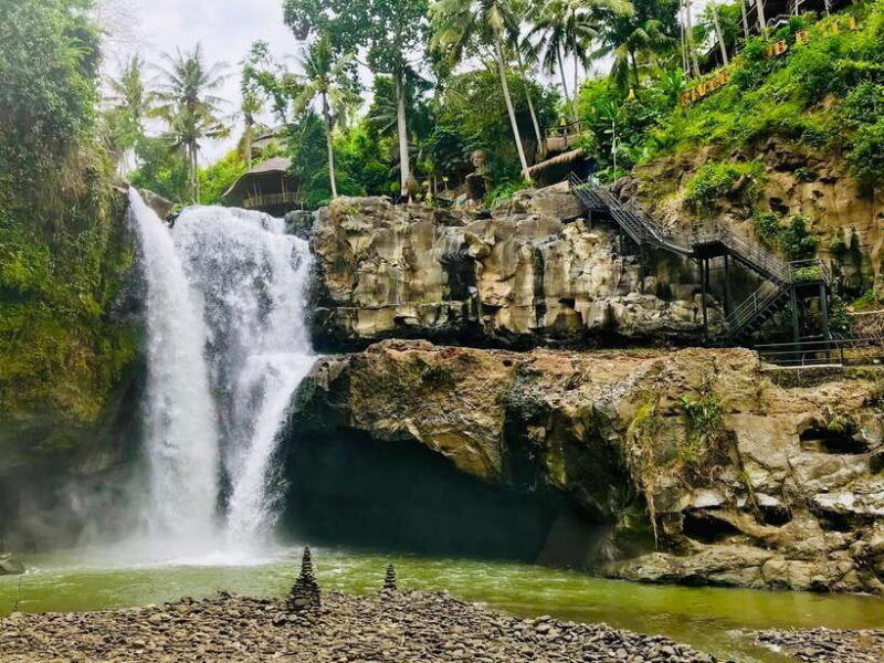 bali-shared-or-private-highlights-ubud-with-cretya-jungle