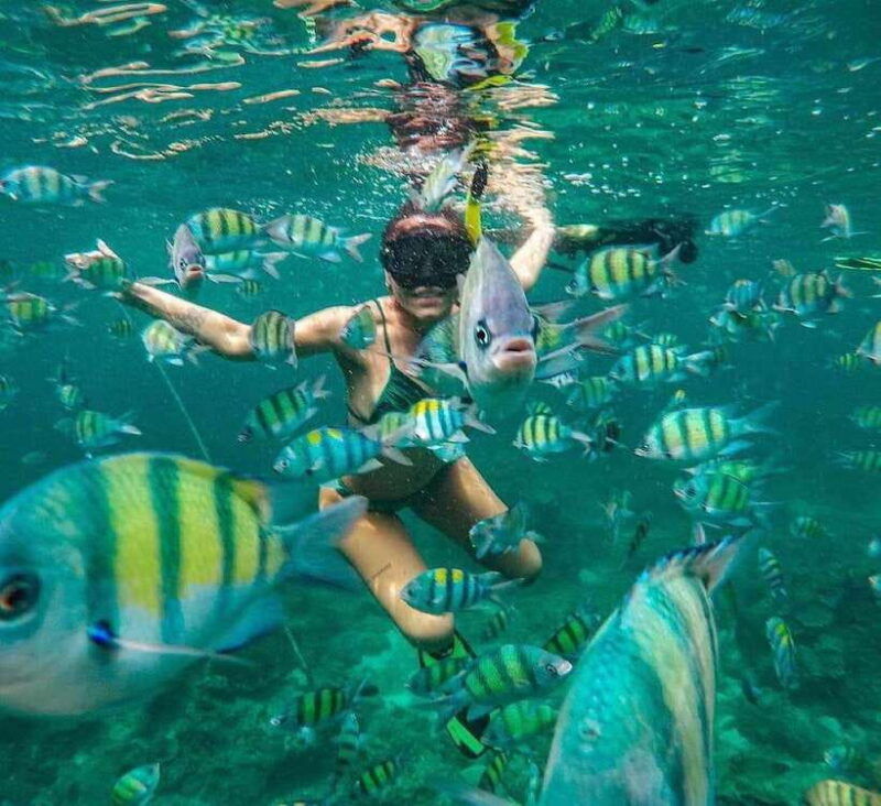 bali-snorkeling-at-two-spots-with-lunch-and-transport