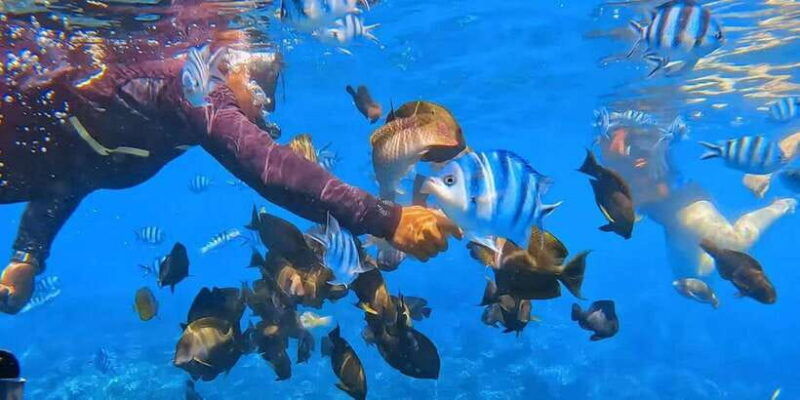 bali-snorkeling-blue-lagoon-atv-quad-bike-adventure