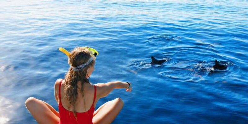 bali-swimming-with-dolphin-waterfal-tour-all-inclusive