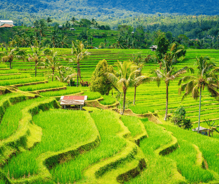 bali-tanah-lot-rice-terrace-ulun-danu-taman-ayun-temple