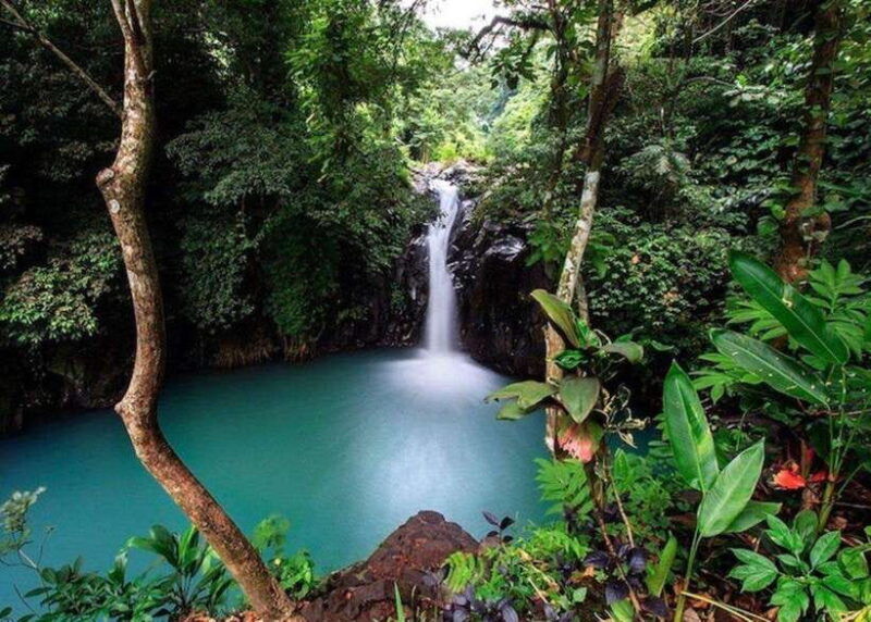 bali-top-highlights-private-full-day-tour-from-hotel