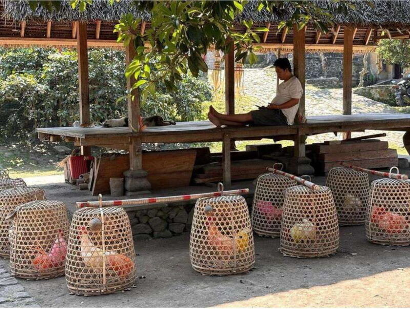 bali-traditional-villages-salt-farm-tirta-gangga-tour