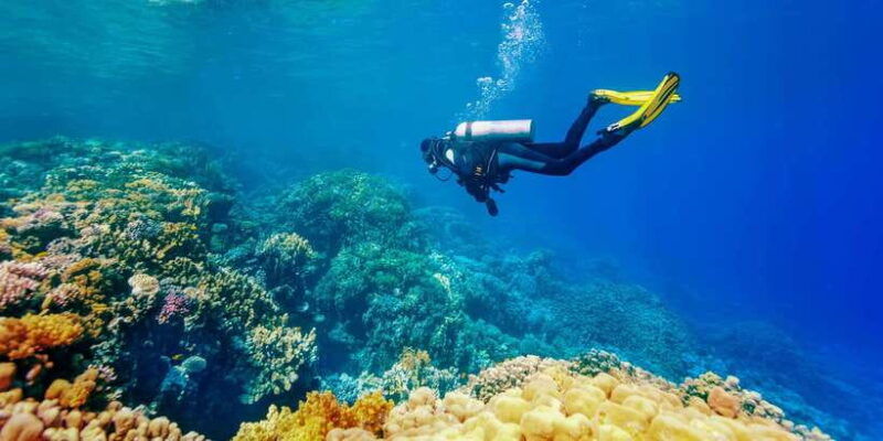 bali-tulamben-bay-beginners-dive-experience