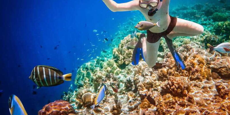 bali-ubud-atv-and-blue-lagoon-snorkeling-tour-with-lunch