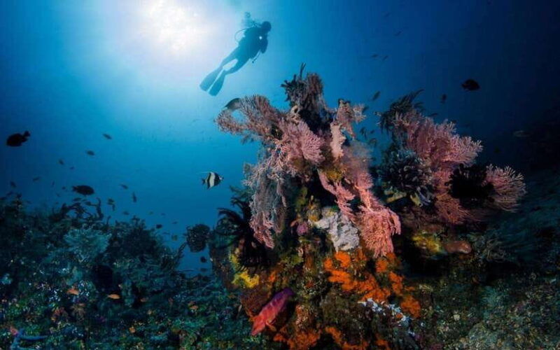 bali-underwater-paradise-diving-experience