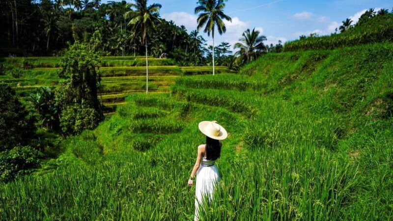 bali-waterfalls-rice-terrace-swing-with-photographer