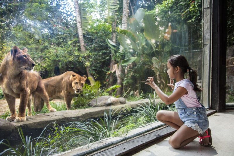bali-zoo-entrance-ticket