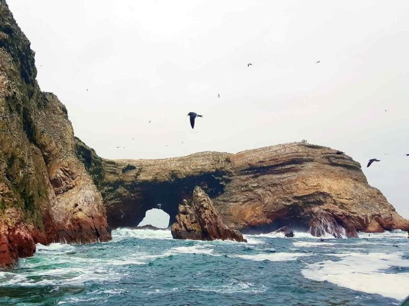 ballestas-islands-tour-2