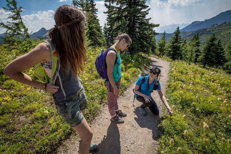 banff-edible-and-medicinal-plants-nature-walk