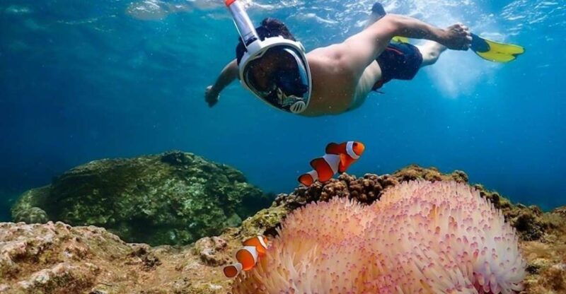 bangkok-nemo-island-day-trip-with-drone-photos-and-lunch