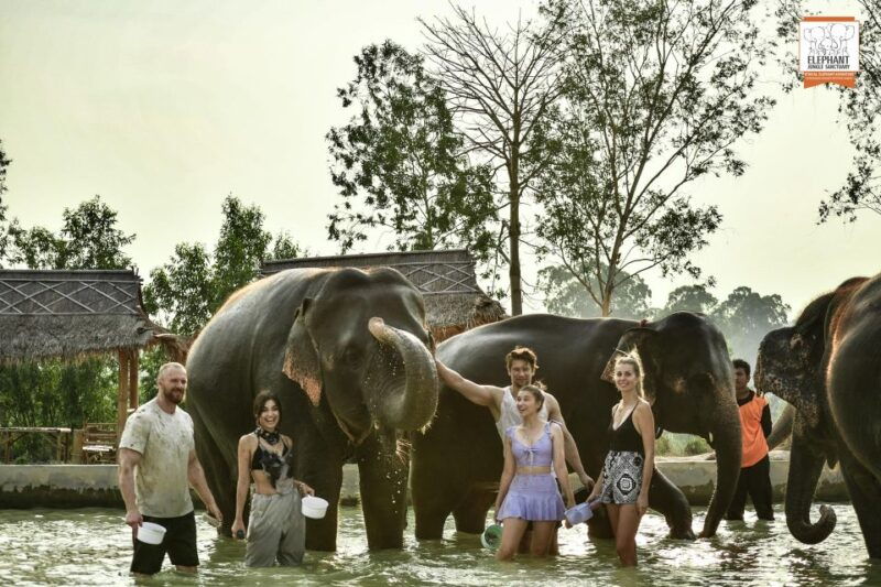 bangkok-pattaya-elephant-jungle-sanctuary-half-day-tour