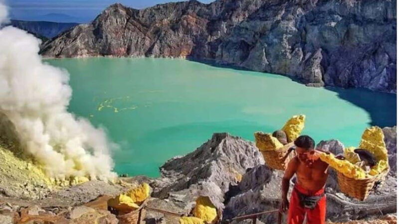 banyuwangi-2-day-adventure-with-baluran-national-park