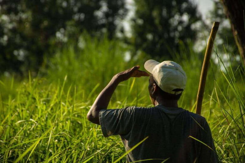 bardiya-national-park-treehouse-stay-with-wildlife-safari