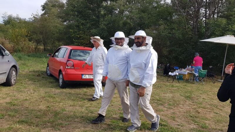 bees-in-romania-private-beekeeping-lesson-and-local-lunch