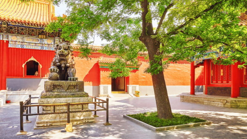 beijing-lama-temple-%ef%bc%88locals-top-temple%ef%bc%89-entry-e-ticket