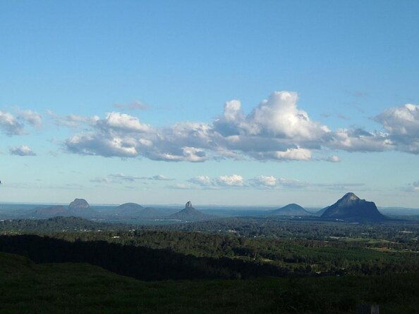 Bellthorpe Rainforest Private Tour - Key Points  