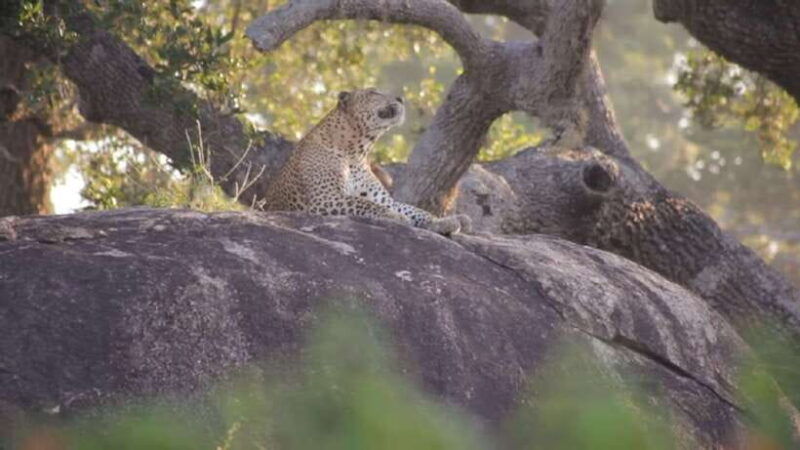bentota-2-day-private-tour-wild-wonders-and-galle-fort