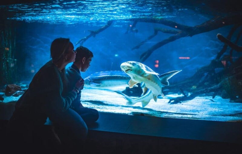 bergen-bergen-aquarium-entry-ticket