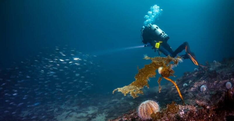 bergen-guided-scuba-diving
