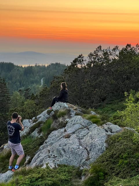 bergen-magical-nature-tour-viflowexperience