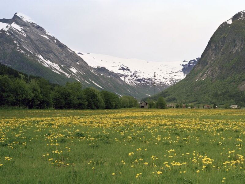 bergen-self-guided-trip-to-oslo-with-sognefjord-cruise-5h