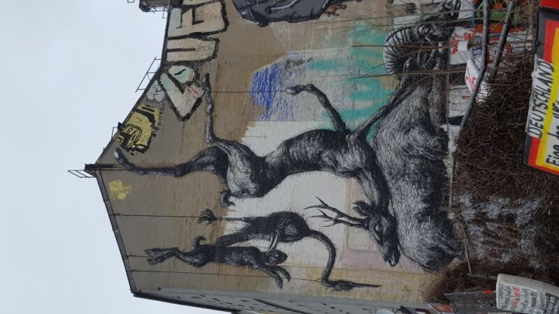 berlin-history-and-alternative-tracks-with-local-guide