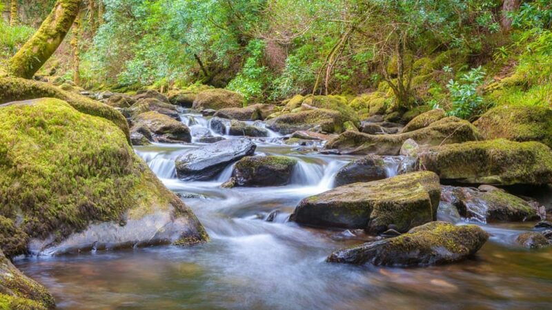 best-of-killarney-private-walking-tour-with-a-local