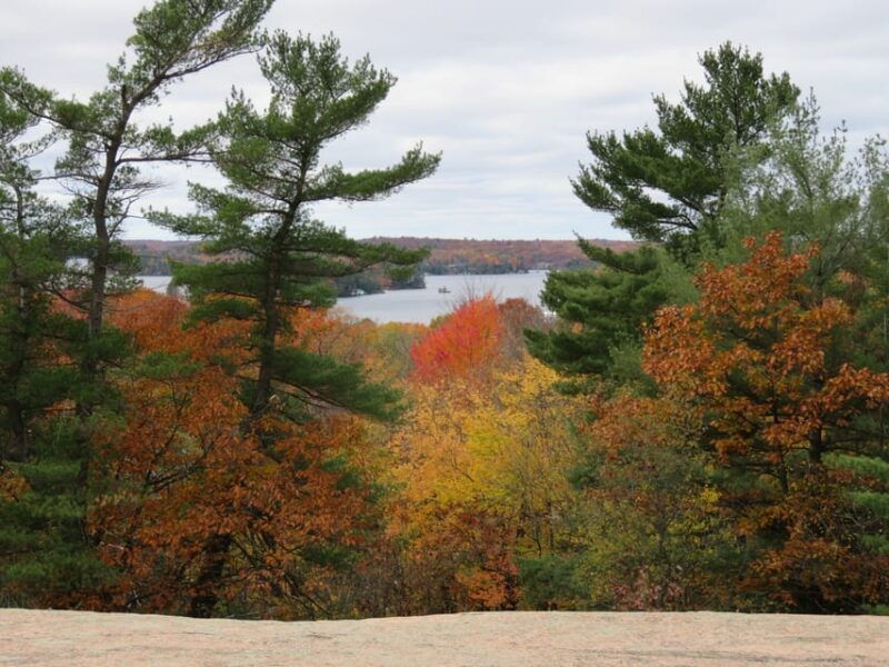 between-huntsville-and-toronto-smartphone-audio-tour
