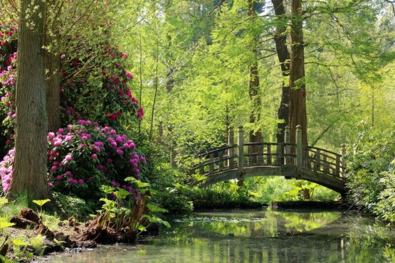 birmingham-winterbourne-house-and-garden-admission-ticket