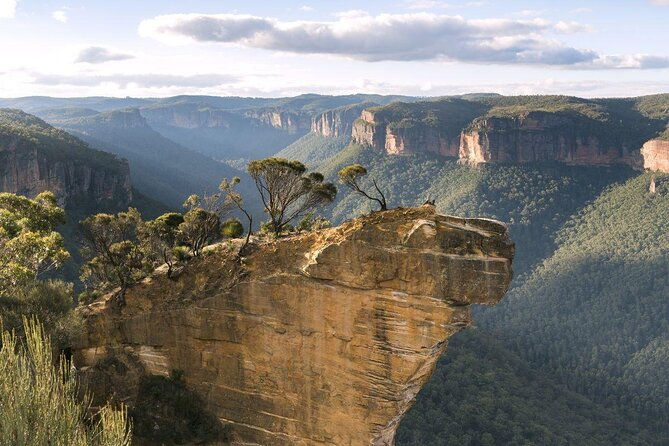 Blue Mountains Small Group Tour with Lunch, Zoo and Scenic World - Key Points