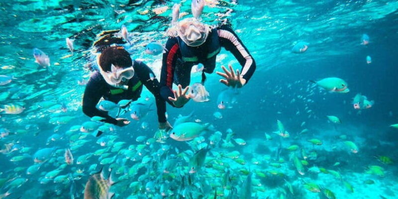 bohol-balicasag-private-island-hopping-tour