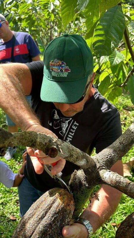 bohol-chocolate-making-and-farm-tour