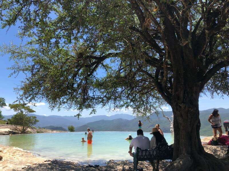 boil-the-water-mitla-tule-tree-tapetes-mezcal-distillery-tour